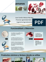 E-407 Carragenanos: Juan Camilo Velasco Narváez Procesos Agroindustriales 2 Ingeniería Agroindustrial