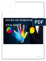 Study of Portfolio Analysis