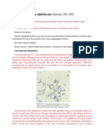 Corynebacterium Diphtheriae (Jawetz Translated)