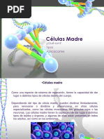 Celulas Mother