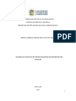 Dissertação Mônica PDF