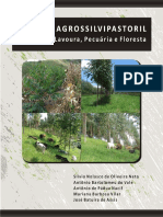 Livro - Sistema Agrosilvipastoril PDF