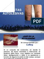 Taller Conductas Autolesivas