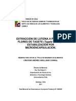 Extracción de Luteína - Estabilidad Por Microencapsulacion