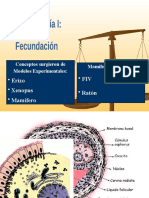 5embriología I Fecundación