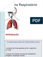 Sistema Respiratório Fisica