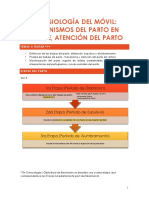 Fisiología Del Móvil, Mecanismos y Atención Del Parto PDF