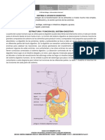 Separata Anatomia y Fisiologia Humana 2018