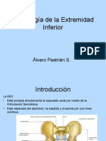 Osteología de La Extremidad Inferior