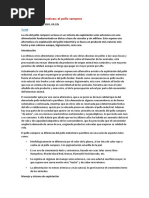 01crianza de Pollos Camperos - Aviculturas Alternativas