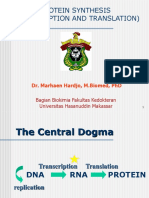 Protein Synthesis (Transcription and Translation) : Dr. Marhaen Hardjo, M.Biomed, PHD