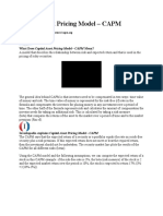 Capital Asset Pricing Model