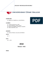 Informe Societario Final