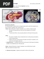 Anatomy of Pancreas