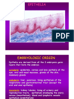 Lesson 2 Classification of Epithelia