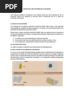 Proceso Oro Minerales Sulfurados