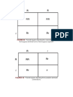 Figure 5-9: Punnett Square Depicting The Cross Between A Homozygous Dominant and A Heterozygous Organism