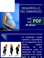 Desarrollo Del Embarazo