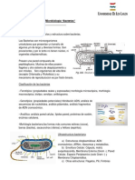 Micrbiologia Bacterias