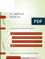 LIBERTAD SINDICAL (Concepto, LS Individual)