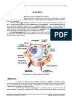 Botánica y Fisiología Vegetal (Apunte Catedra)