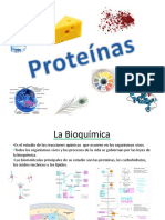 Resumen de Proteínas