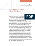 Functional Anatomy of The Hip Joint