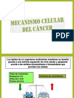 Mecanismo Celular Del Cancer Listo