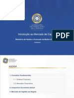 Introdução Ao Mercado de Capitais - MINFAMU