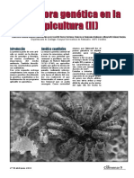 2010 Mejora Abejas 2 El Colmenar PDF