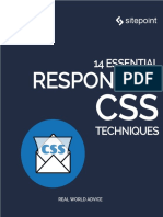  Css 