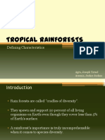 Tropical Rainforests: Defining Characteristics