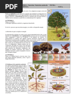 ficha2ESO Nutrición2 PDF