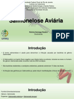 Salmonelose Aviária (Meu Seminário)