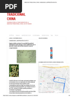 Medicina Tradicional China - Candidiasis y Depresión en MTCH