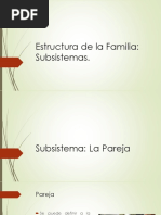 Continuidad y Cambio en La Familia. Factores Intervinientes, Ed. 1 - Mirna García-Méndez