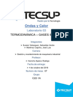 Informe 3 Ondas y Calor