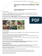 Guía para Principiantes para El Cultivo de Hortalizas y Frutas en Espacios Reducidos PDF