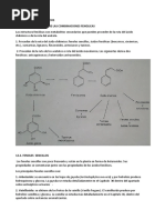 Fenoles y Acidos Fenolicos