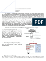 Experiment Worksheet