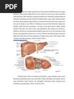 Anatomi Hepatobilier