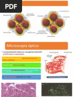 Patología