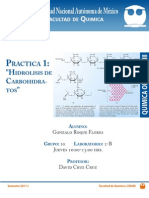 P1-Hidrolisis de Carbohidratos