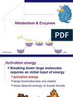 5 PP Metabolism Enzymes