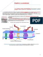 La Membrane