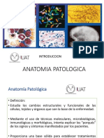 Anatomia Patologica