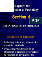 Chapter One Introduction To Pathology Chapter One Introduction To Pathology