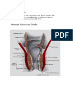 A No Rectal Abscess