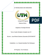 Tarea8 Cuadro Sinóptico