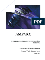 Trabajo Final Amparo